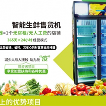 智能無人果蔬機加盟代理商機