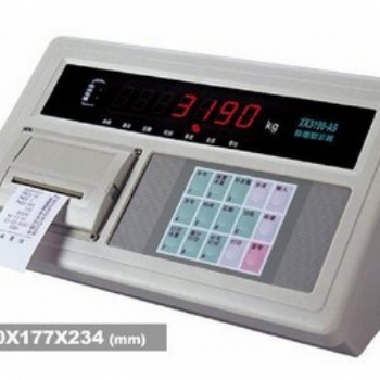 耀華XK3190 A9+p打印儀表