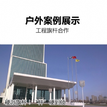 阜南縣電動(dòng)旗桿廠家|學(xué)校旗桿|旗桿維修