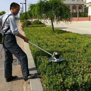 園林綠化庭院設計生態園林規劃道路綠化市政工程效果圖制作施工