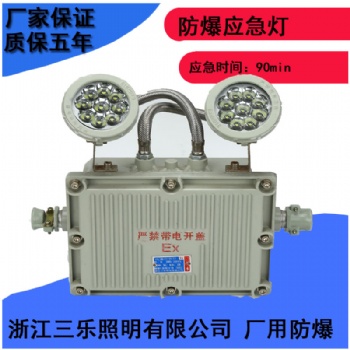 防爆應(yīng)急燈 防爆雙頭應(yīng)急燈