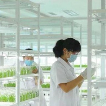 昆明組培貨架，植物組培貨架廠
