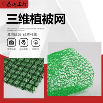 三維植被網廠家護坡綠化三維植被網em3耐腐蝕護坡三維網