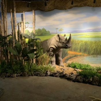 重慶室內(nèi)動(dòng)物園景觀的設(shè)計(jì)及定義