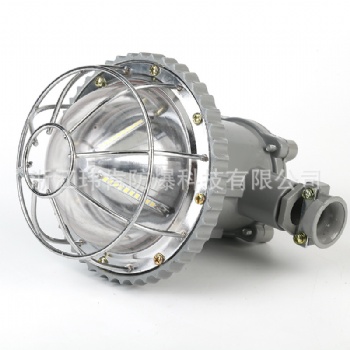 DGS18/127L礦用隔爆型LED巷道燈廠家批發價格