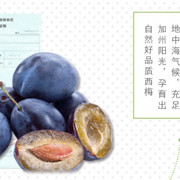 酵素梅代加工廠家 柚子酵素蜜餞貼牌廠家批發