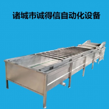 不銹鋼大型商用洗菜機(jī)蔬菜瓜果氣泡清洗機(jī)蔬菜瓜果氣泡清洗機(jī)