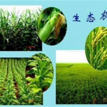 農林資質農業綜合開發生態工程乙級資質標準