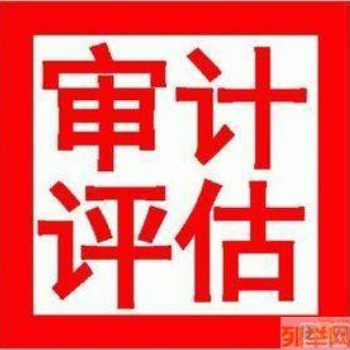 全國審計報告 普通審計報告專項審計報告