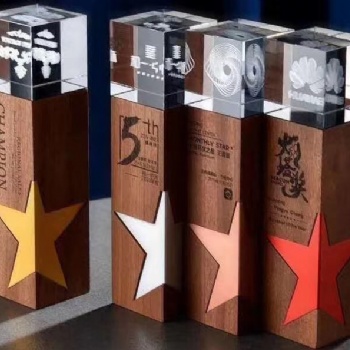 西安樹脂金屬獎杯 定制 企業(yè)單位紀念品 會議晚會頒獎比賽獎品 員工表彰免費刻字 獎杯定制