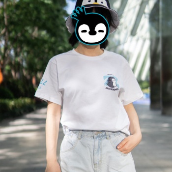 中山服裝工廠定制應(yīng)援周邊T恤 翟瀟聞企鵝島夏季應(yīng)援服