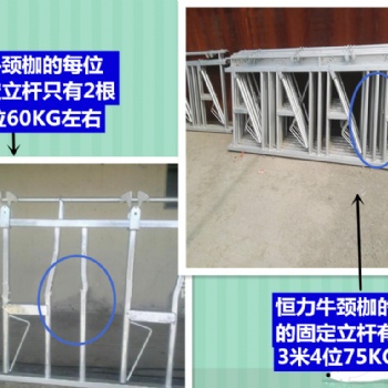 牛頸枷 牛頸枷生產廠家