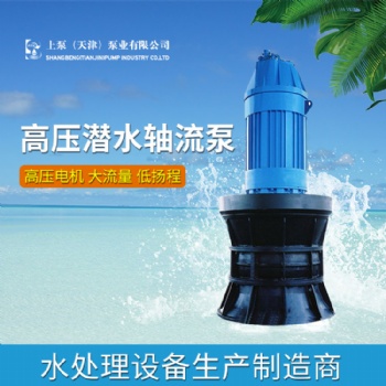 惠州市500QZB-100潛水軸流泵廠家電話