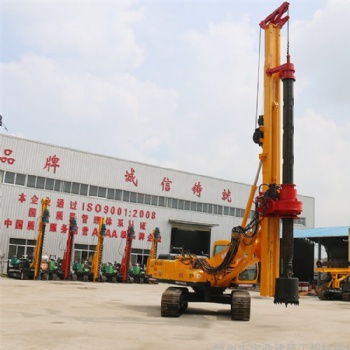 履帶式小型旋挖鉆機 適用于不同復雜地形的小型旋挖鉆機