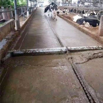 牛場糞道清潔設(shè)備 一拖二智能刮糞機 熱鍍鋅刮板機 防腐蝕 防銹