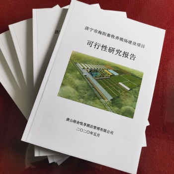 專業(yè)代寫可行性研究報(bào)告、穩(wěn)定風(fēng)險(xiǎn)評(píng)估、商業(yè)計(jì)劃書