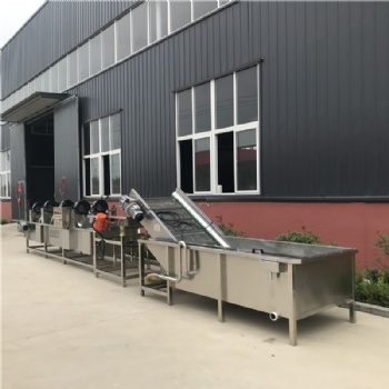全自動氣泡清洗機 大棗清洗機 枸杞脫蠟擺盤清洗機
