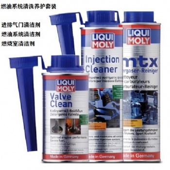 力魔汽油添加劑燃油寶積碳清洗劑免拆油路噴油嘴燃燒室清潔劑