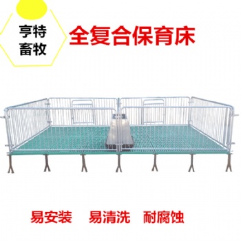 供應(yīng)湖南豬場(chǎng)母豬定位欄 復(fù)合產(chǎn)床保育床 河北畜牧設(shè)備生產(chǎn)廠家
