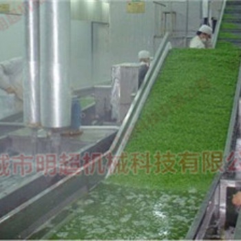 廠家柑橘氣泡清洗機 定做