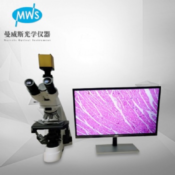 無限遠測量電子研究型生物顯微鏡 血液微生物細胞切片檢測顯微鏡