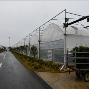 薄膜連棟溫室大棚 塑料薄膜大棚 連棟大棚骨架廠家