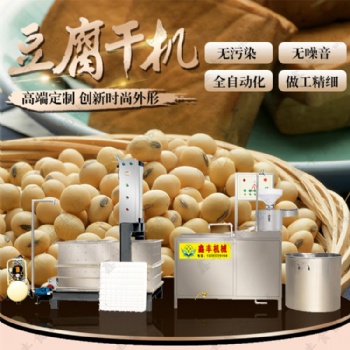 山東聊城豆腐干機生產線 廠家 保教技術