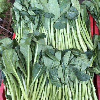 漳州田禾緣專業(yè)食材配送