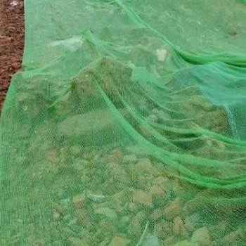 南京防塵網綠色蓋土網現貨