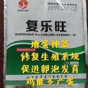 影響蛋雞產(chǎn)值的罪魁禍*滑膜炎的癥狀及應(yīng)對(duì)措施