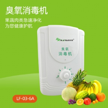 果蔬消毒機 家用多功能臭氧食材凈化機會銷禮品OEM廚房電器