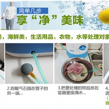 多功能果蔬凈化器 活氧機(jī) 臭氧機(jī) 瓜果蔬菜機(jī) 空氣器