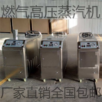 山東盛睿格蒸汽洗車機