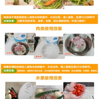 多功能果蔬凈化器 活氧機 臭氧機 瓜果蔬菜機 空氣消毒機