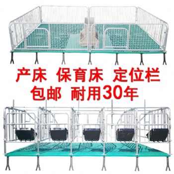 母豬定位欄豬用限位欄10豬位加厚帶食槽國(guó)標(biāo)2.5厚養(yǎng)豬設(shè)備器械