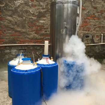 觀瀾10L液氮，冒煙冰淇淋液氮，液氮生產廠家零售，送貨上門
