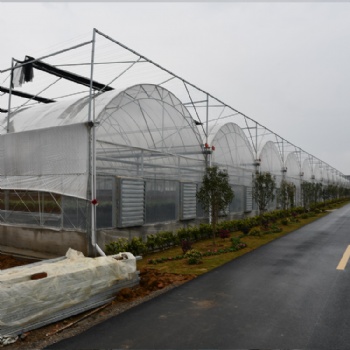 建達(dá)JD 連棟大棚 連棟溫室大棚 薄膜連棟大棚