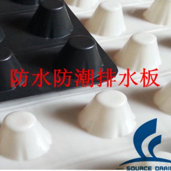 HDPE塑料排水板東營塊狀排水板工廠