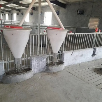 豬舍自動化料線_養殖設備豬場料線_母豬產床母豬飼喂料線