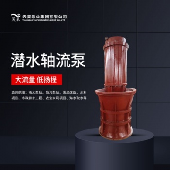 高壓電機QZ潛水軸流泵生產廠家