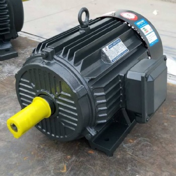 三相異步電動機(jī)廠家