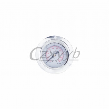 船用軸向帶邊耐震壓力表表面 直徑100MM63MM不銹鋼表殼充油耐震