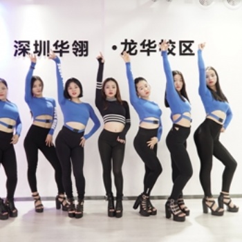 .我想學(xué)舞蹈去酒吧表演，深圳哪家舞蹈教學(xué)專業(yè)