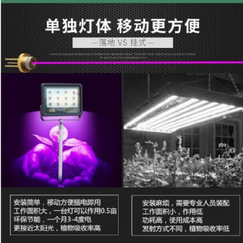 大棚植物補光燈仿太陽激光鐳射植物生長補光燈溫室大棚植物激光