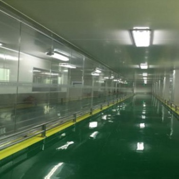 無塵車間凈化車間塑膠件自動噴漆生產線靜電除塵設備無塵凈化車間