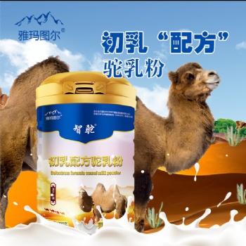 智駝初乳配方駱駝奶粉新品上市