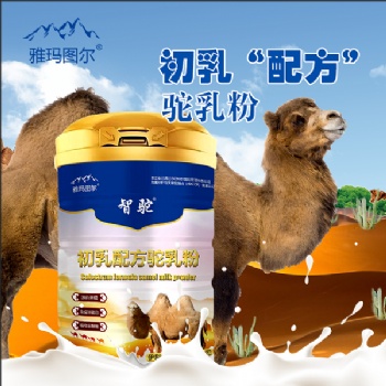 伊犁雪蓮乳業智駝初乳配方駝乳粉