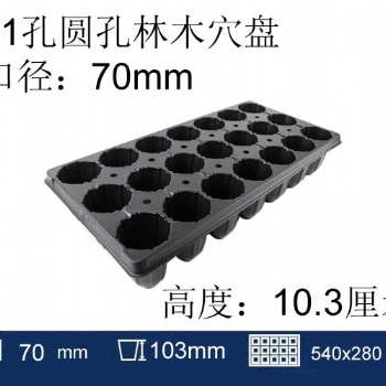 21孔圓孔穴盤林木育苗盤—苗木盤