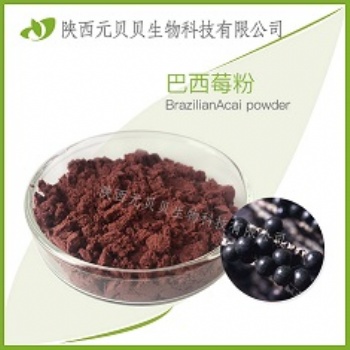巴西莓粉 巴西莓萃取物 花青素廠家直供 巴西莓果粉