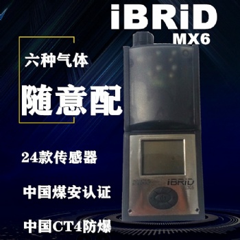 英思科MX6復(fù)合式氣體檢測儀注意事項